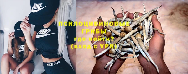 стафф Нея