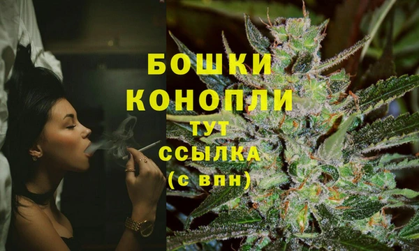 ГАЛЛЮЦИНОГЕННЫЕ ГРИБЫ Навашино