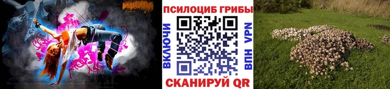 цена наркотик  Борисоглебск  Псилоцибиновые грибы Psilocybe 