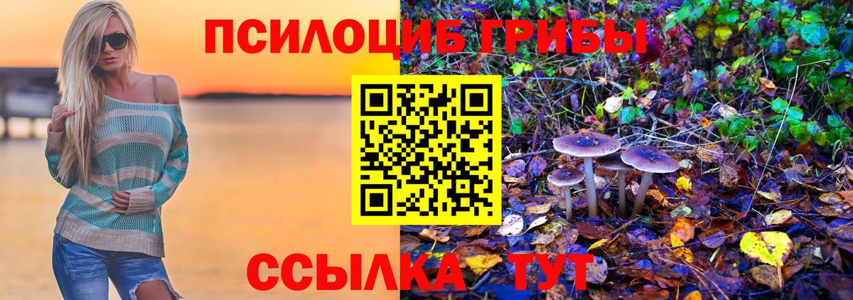 Галлюциногенные грибы MAGIC MUSHROOMS Борисоглебск