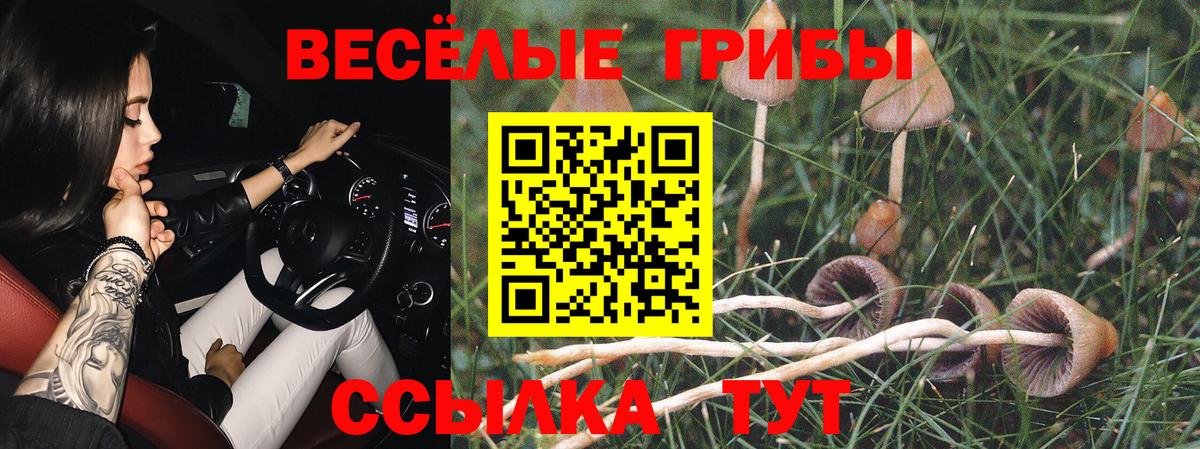 Псилоцибиновые грибы ЛСД  купить  цена  Псилоцибиновые грибы ЛСД  Борисоглебск 
